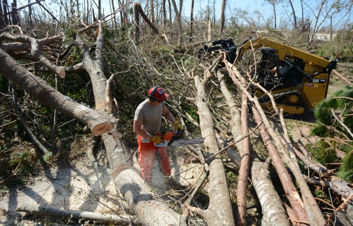 Tree Removal Currumbin Valley