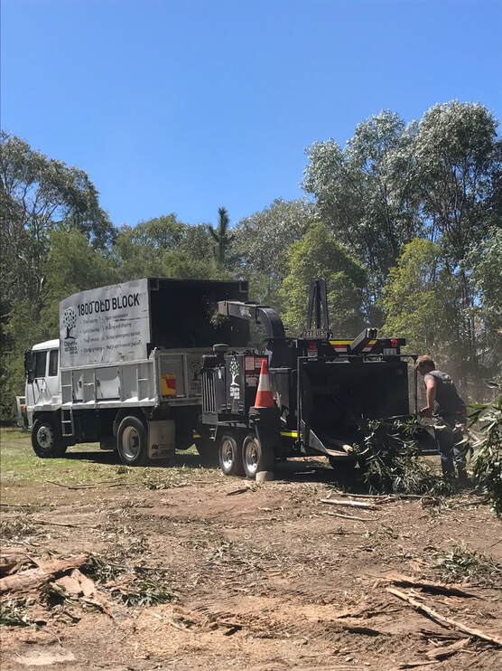 Burleigh Waters Tree Services