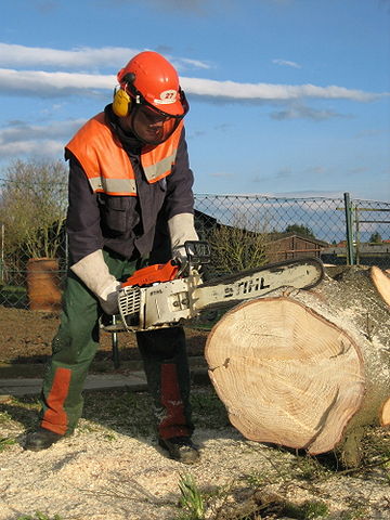 Tree Removal Oxenford